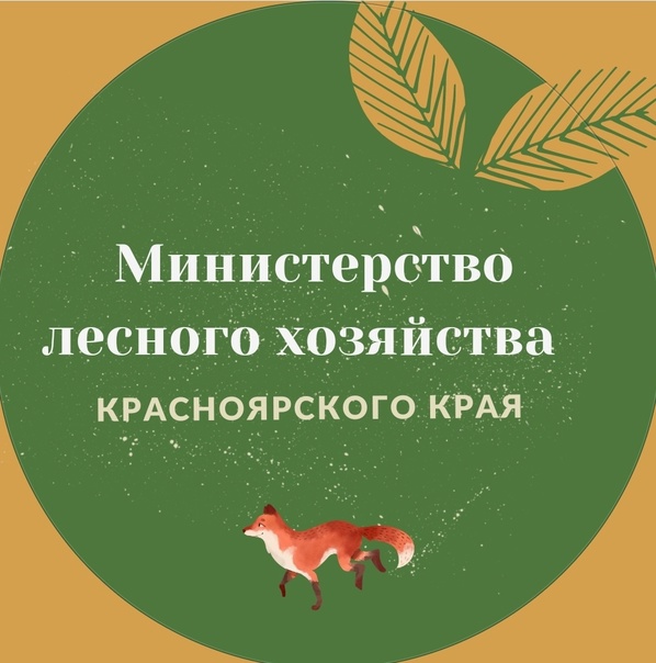 Информационное сообщение о проведении конкурса на замещение должности руководителей подведомственных учреждений министерства лесного хозяйства Красноярского края 